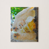 Onze Australische Gevederde Vrienden Legpuzzel (Verticaal)