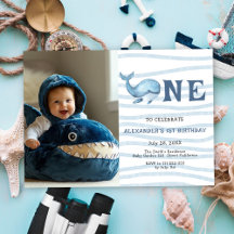 Onze Baby Walvis 1e Verjaardag Onder De Zee