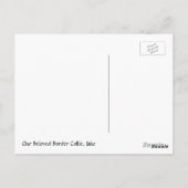 Onze Beloved Border Collie Jake - briefkaart (Achterkant)