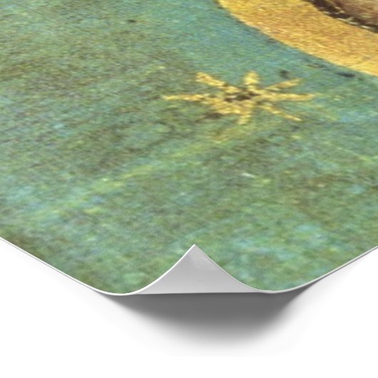 ONZE BLOKTE MOEDER VAN GUADALUPE POSTER (Hoek)