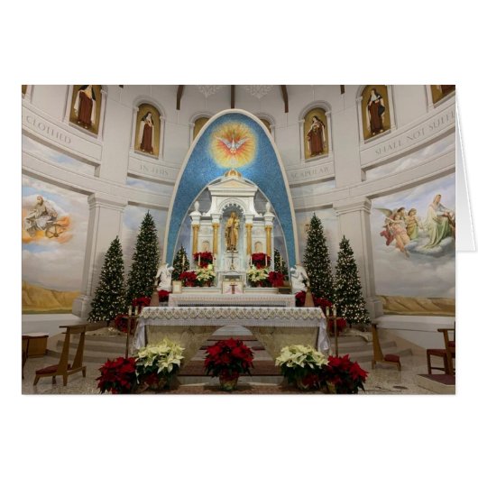 Onze dame op de berg Carmel katholieke Kenosha WI (Voorkant Horizontaal)