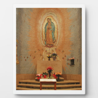 Onze dame van de guadalupe fotoplaat