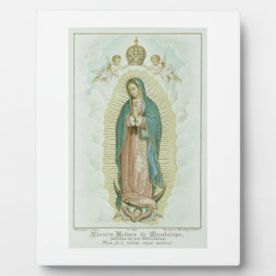 Onze dame van Guadalupe Fotoplaat