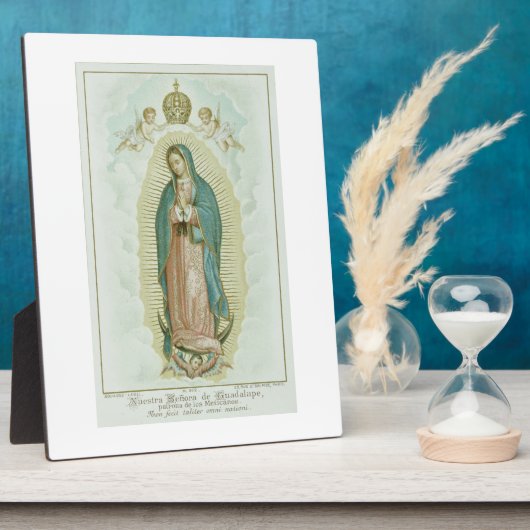 Onze dame van Guadalupe Fotoplaat (Zijkant)