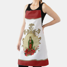 Onze dame van Guadalupe-kerstmaagd Mary Schort