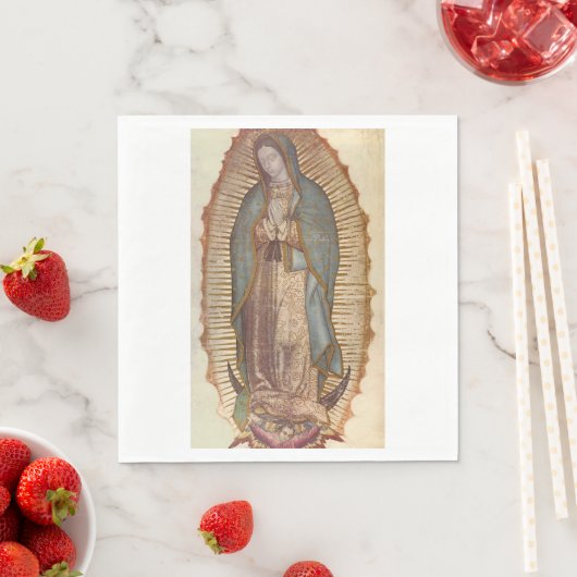 Onze dame van Guadalupe (Nuestra Señora) (Virgen) Servet (Insitu)
