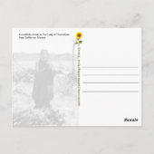 Onze dame van Guadalupe Roadside Shrine - briefkaa Briefkaart (Achterkant)