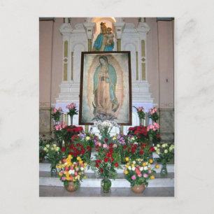 Onze dame van het Briefkaart van Guadalupe