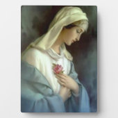 Onze Dame van het Roos Roze Bloemblauw Mantle Fotoplaat (voorkant)