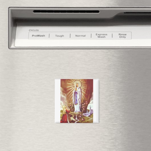 Onze dame van Lourdes Magneet (Insitu (Vaatwasser))