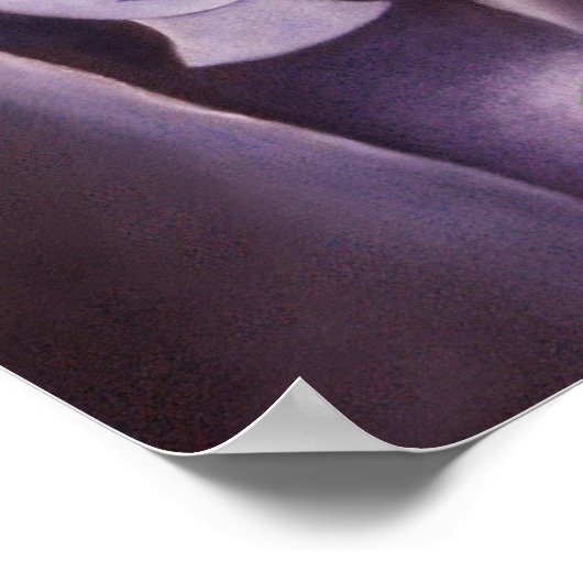 Onze dame van Sorrows Poster (Hoek)