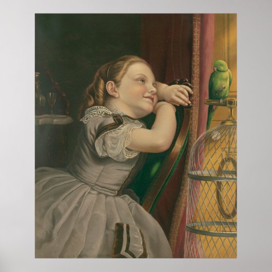 Onze dichter Polly Poster (Voorkant)