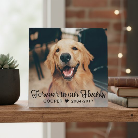 Onze dierbare herinnering Huisdier Herdenkingsfoto Fotoplaat