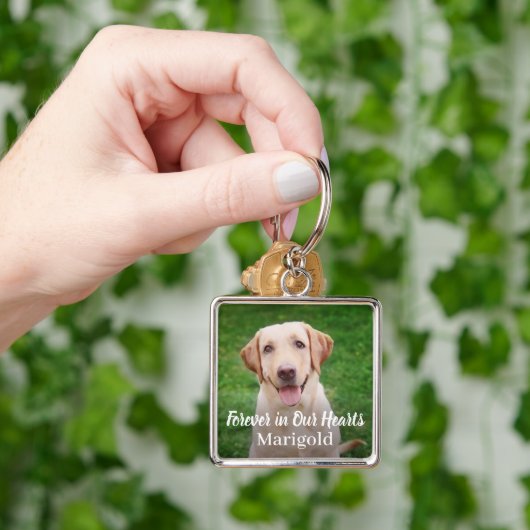 Onze dierbare huisdierhond-foto-andeuken sleutelhanger (Hand)
