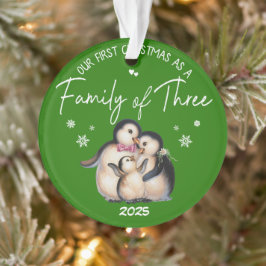 Onze eerste kerst als een familie van drie ornament