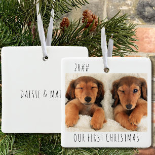 Onze Eerste Kerst Puppy Honden Landschap Foto Keramisch Ornament
