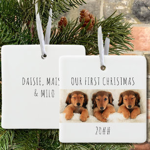 Onze Eerste Kerst Puppy Honden Panoramische Foto Keramisch Ornament