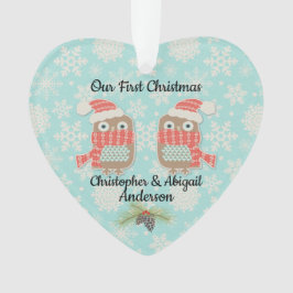 Onze eerste kerstbezit ornament