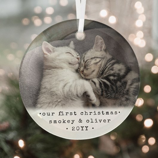 Onze eerste Kerstmis 2 katten of een foto van Pet Glas Ornament
