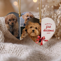 Onze Eerste Kerstmis met Onze Pup 4 Foto Rode Stri