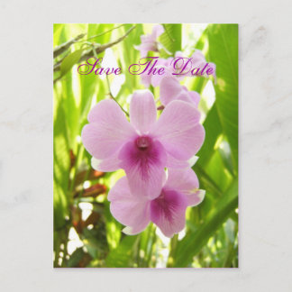 Onze eigen wereld, red de datum aankondigingskaart