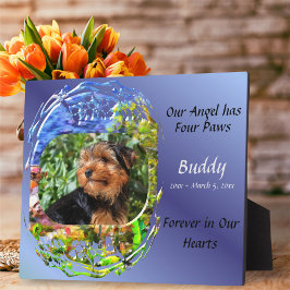 Onze engel heeft vier poten Schilderachtig pad Uit Fotoplaat