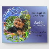 Onze engel heeft vier poten Schilderachtig pad Uit Fotoplaat (Voorkant)