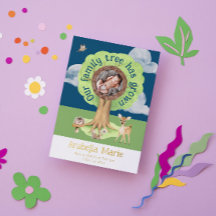 Onze familieboom heeft de geboorte van de Folie aa