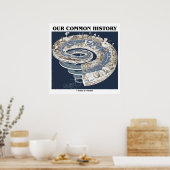 Onze gemeenschappelijke geschiedenis (tijdspiraal  poster (Keuken)