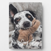 Onze Goede Jongen Douane Hond Foto Fotoplaat (voorkant)