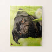 Onze Griffon doet onze familie huiset Legpuzzel (Verticaal)