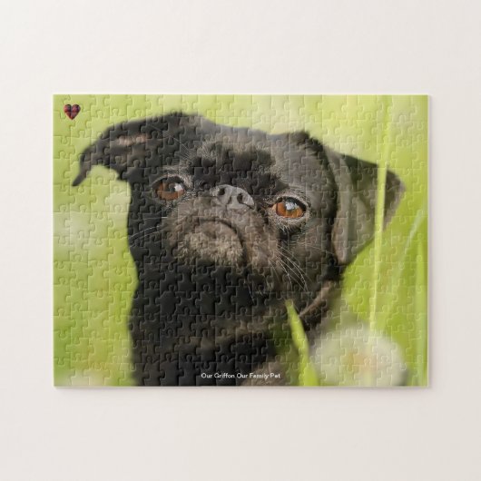 Onze Griffon Hond Onze Huisdier Legpuzzel (Horizontaal)