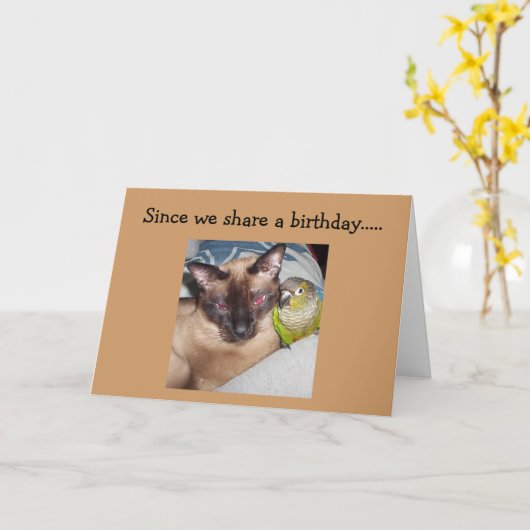 "ONZE GROTE DAG" IS HIER! HOOP HET SPINNEN-FECT KAART (Gele Bloem)