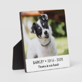 Onze harten herdendenken foto van hond fotoplaat (Voorkant)