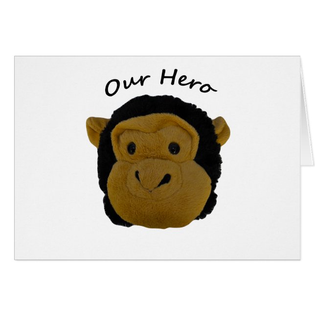 Onze Hero (Voorkant Horizontaal)