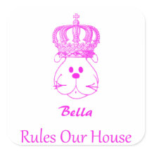 Onze hond regelt ons huis-pleisterkteken