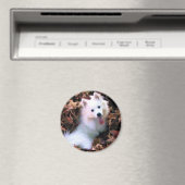 Onze hondenvrouw fotografeerde ik! magneet (Insitu (Vaatwasser))