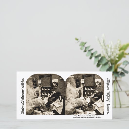 Onze huisdieren Droom van Oude Sinterklaas Stereov Feestdagenkaart (Staand voorkant)