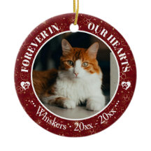 Onze Kat Foto- en Naamherdenking voor Altijd in On