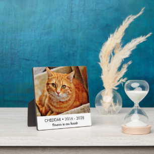 Onze Kat Herdenkingsfoto Voor Altijd in Onze Hart Fotoplaat
