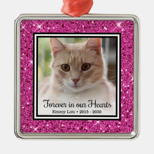 Onze Kat Voor Altijd In Onze Hartens  Metalen Ornament (Voorkant)