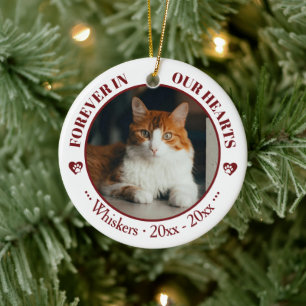 Onze katten altijd in ons hart foto- en naamherden keramisch ornament