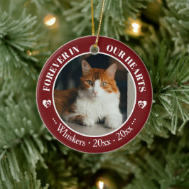 Onze katten altijd in ons hart foto- en naamherden keramisch ornament