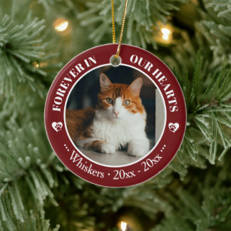Onze katten altijd in ons hart foto- en naamherden keramisch ornament