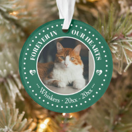 Onze katten altijd in ons hart Foto- en naamherden Ornament