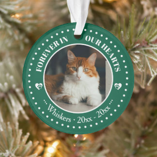 Onze katten altijd in ons hart foto- en naamherden ornament
