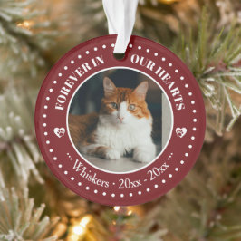 Onze katten altijd in ons hart Foto- en naamherden Ornament
