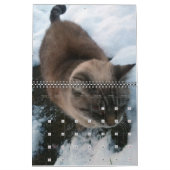 Onze katten gepersonaliseerde kalender (Jan 2026)