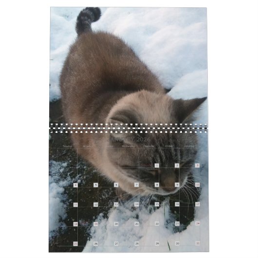 Onze katten gepersonaliseerde kalender (Jan 2026)