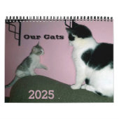 Onze katten gepersonaliseerde kalender (Hoes)
